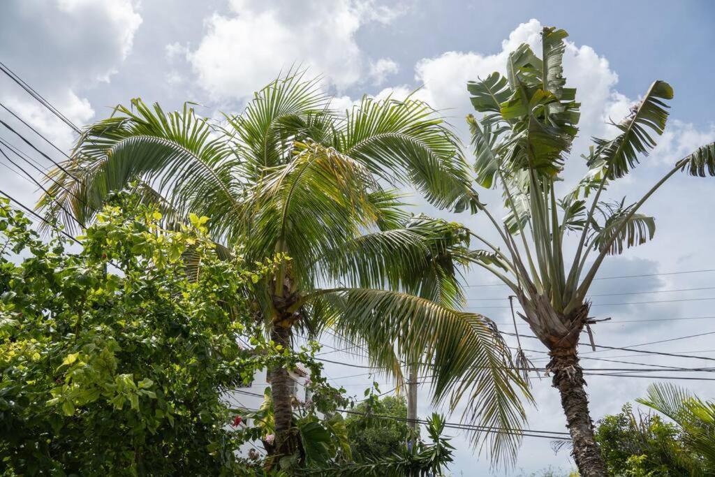 Villa Caribe Bayahibe Ngoại thất bức ảnh